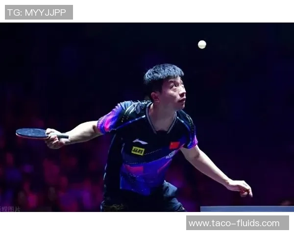 成都乒乓球队个人能力变革引发热议助力竞技水平提升