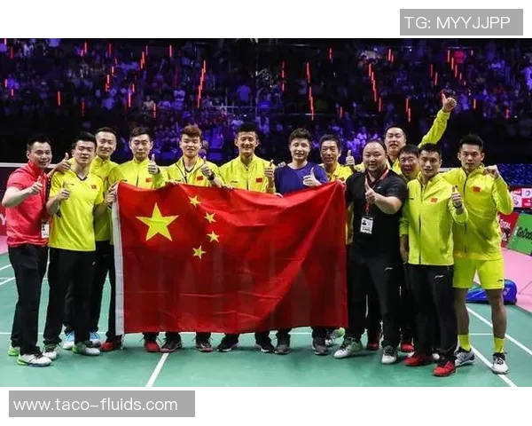 成都羽毛球队总决赛精彩表现分析与实力评估